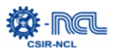 ncl logo